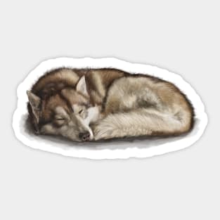 The Siberian Husky Sticker